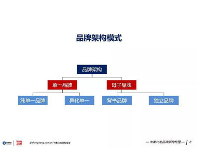 策世品牌觀 七日微光，照亮品牌管理之路