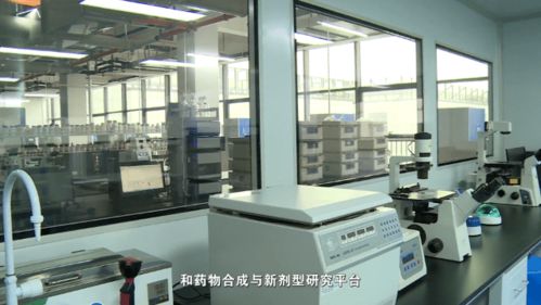 創新港平臺建設在沖刺