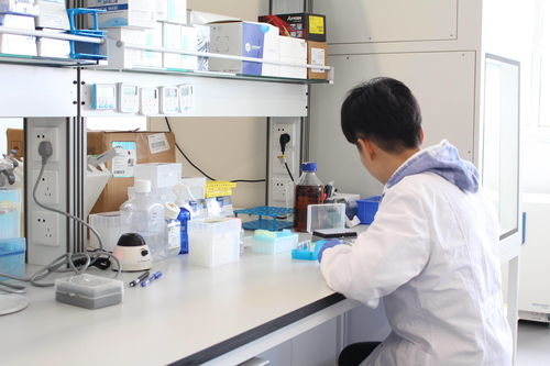 瞄準自身免疫與代謝類疾病臨床用藥空白, 和度生物 開發基因工程細菌活體藥物